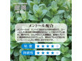 超純ローション アイスミント 150mL（9077） 画像3