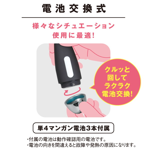 denma35 画像6