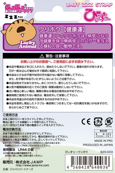 びぃずぅ〜 ウリボウ 画像1