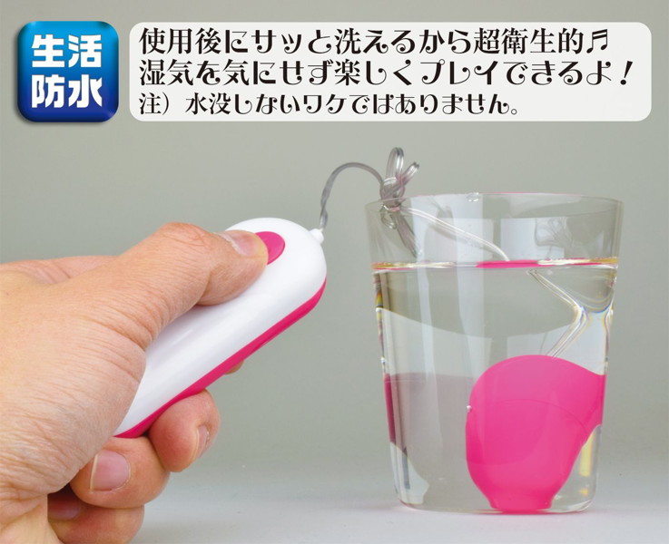 PINPON ホワイト 画像5