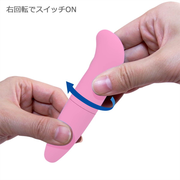 ピンクスティックローター CC パープル 画像2