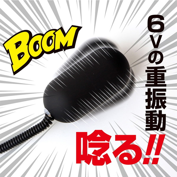 ザ・ローター6G メープルルージュ