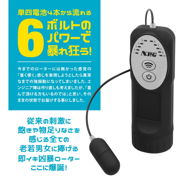 激震注意 6ボルト シングルローター 画像3