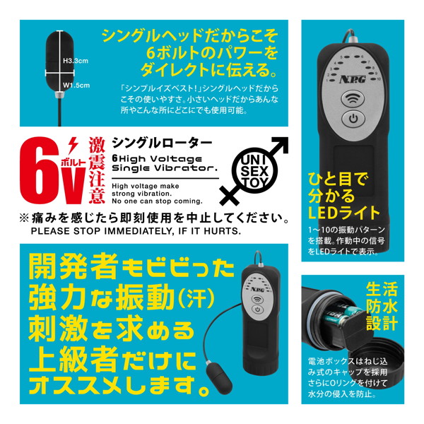激震注意 6ボルト シングルローター 画像4