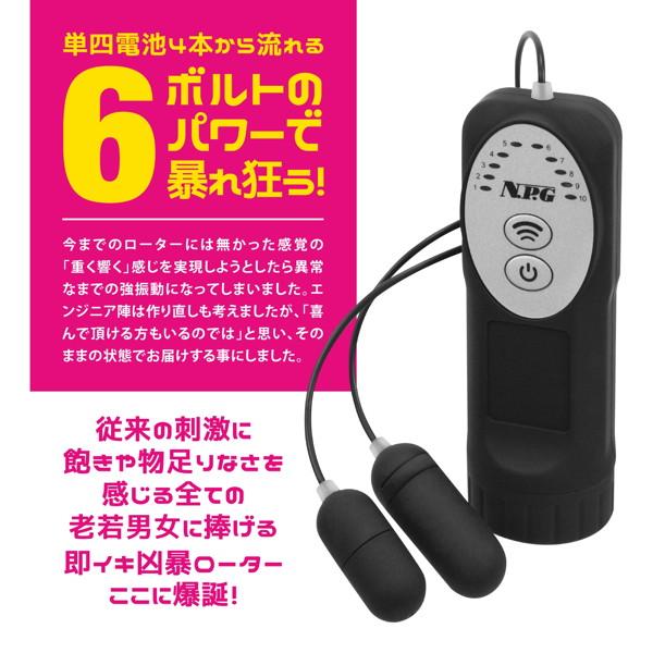 取扱注意 6ボルト ダブルローター 画像3