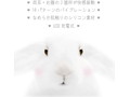 白うさこ 画像4