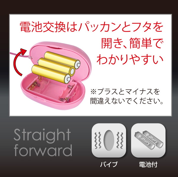 日本のローターDS ［ピンク］ 画像6