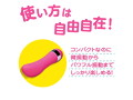 ベイビースティック ポインター 画像2