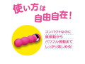 ベイビースティック パファー 画像2
