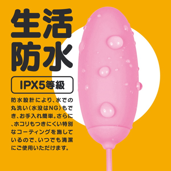 GPRO PINK ROTOR ［HEATING］ 画像3