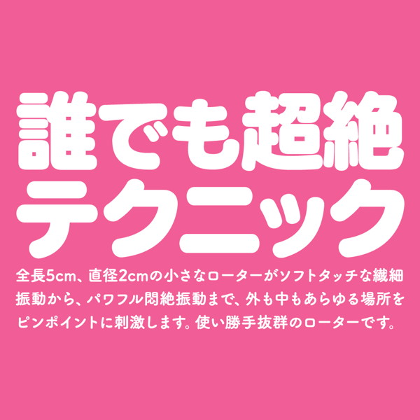 GPRO PINK ROTOR ［HEATING］ 画像7