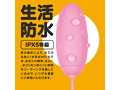 GPRO PINK ROTOR ［HEATING］ 画像3