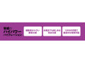 FINE BULLET CANDY PURPLE 画像1