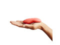 We-Vibe Touch X 画像4