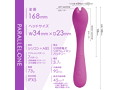 PARALLEL-ONE PL（p-203） 画像4