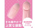 いつものローター 画像2