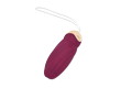 nemo:Drill WINE RED 画像2