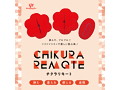 CHIKURA Remote （チクラリモート）（AT605） 画像1