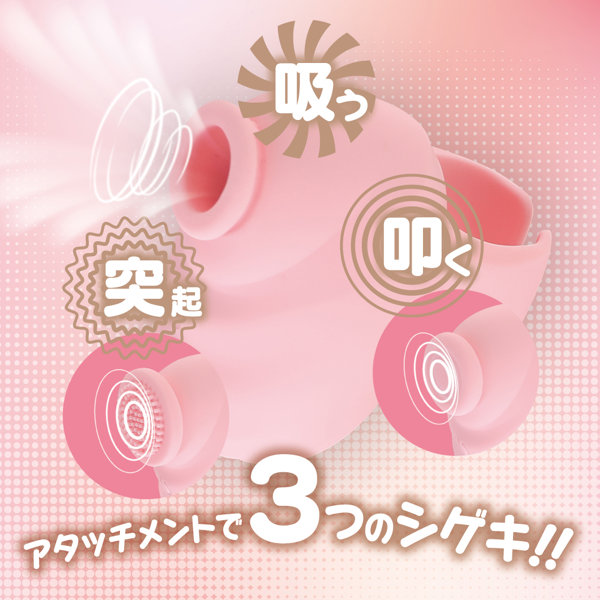 DUALADY パーフェクトタッチ 画像1