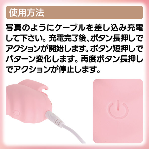 DUALADY パーフェクトタッチ 画像3