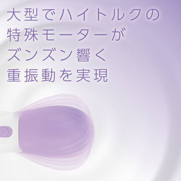 DENMA-ONE パープル(p-321) 画像2