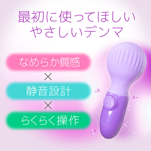 テンダーデンマ ミニ 画像3