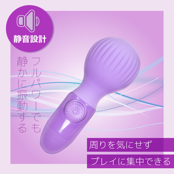 テンダーデンマ ミニ 画像5