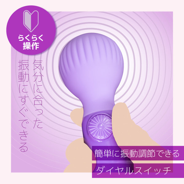 テンダーデンマ ミニ 画像6