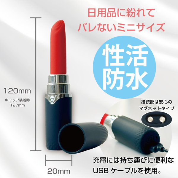 リップスティックローター（15ML10005） 画像4