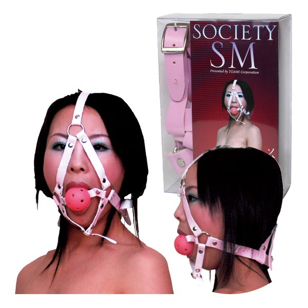 ソサエティSM vol.27