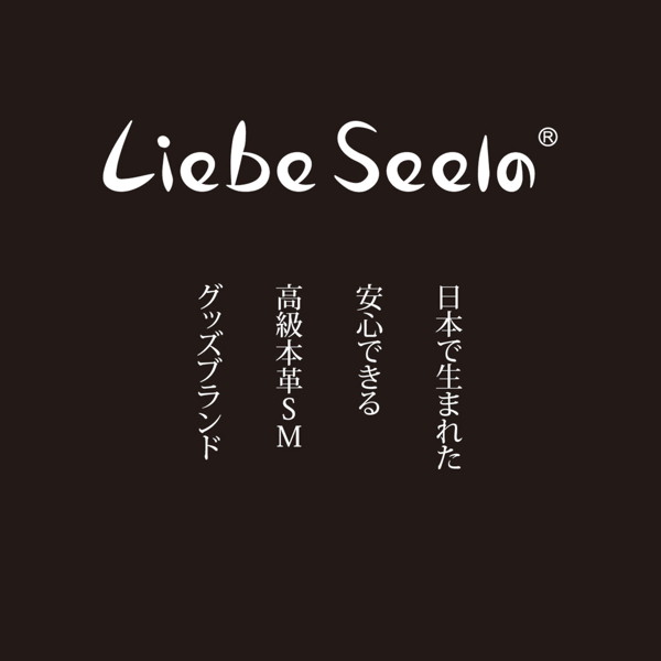Liebe Seele リーべゼーレ 首輪 本革 Wild Gent ワイルドジェント 画像14
