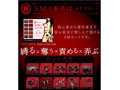 SMであそぼ-SMグッズ10点セット- 画像4
