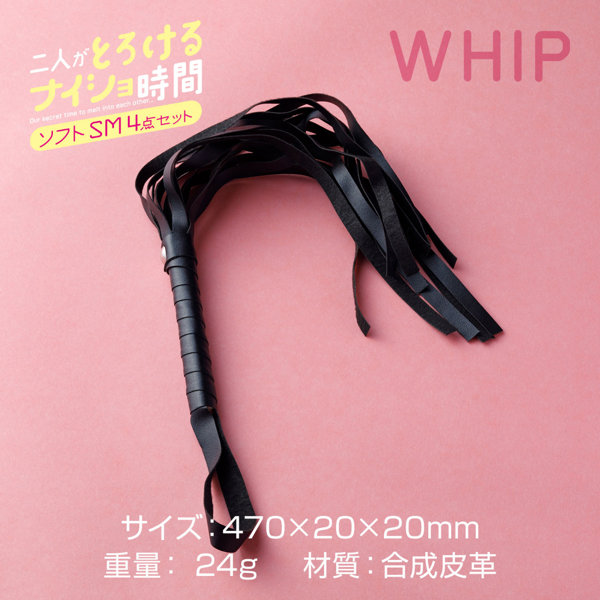 二人がとろけるナイショ時間 ソフトSM4点セット(9200) 画像5