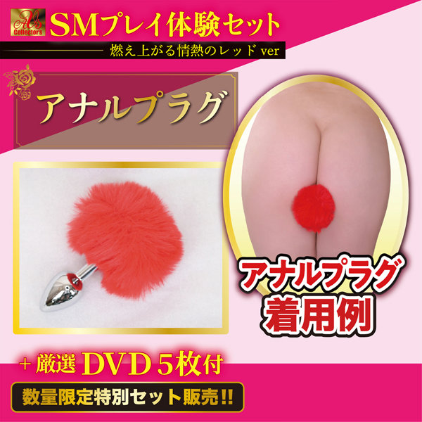 【数量限定 厳選DVD5枚付き】 SMプレイ体験セット 燃え上がる情熱のレッドver 画像7