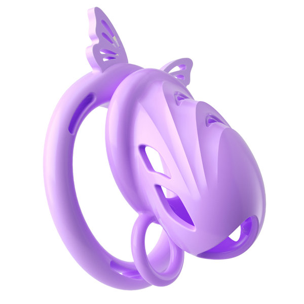 コックケージ 壱（sw-246） 画像2