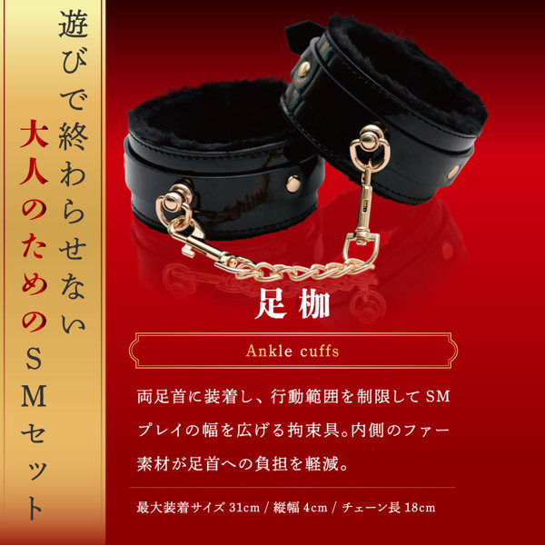 本格SMプレミアムセット（15ML12003） 画像3