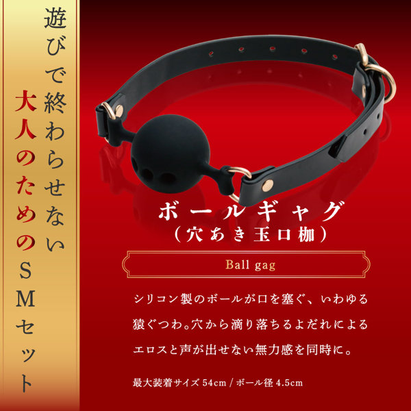 本格SMプレミアムセット（15ML12003） 画像4