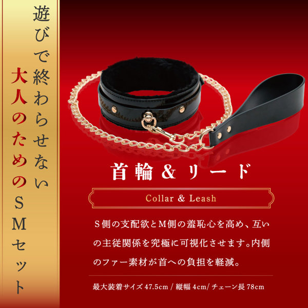本格SMプレミアムセット（15ML12003） 画像5