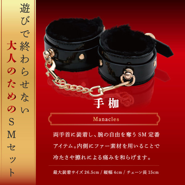 本格SMプレミアムセット（15ML12003） 画像6