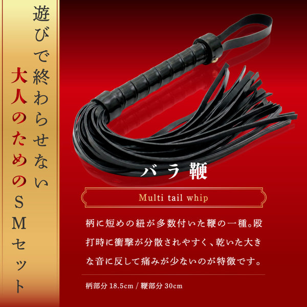 本格SMプレミアムセット（15ML12003） 画像7