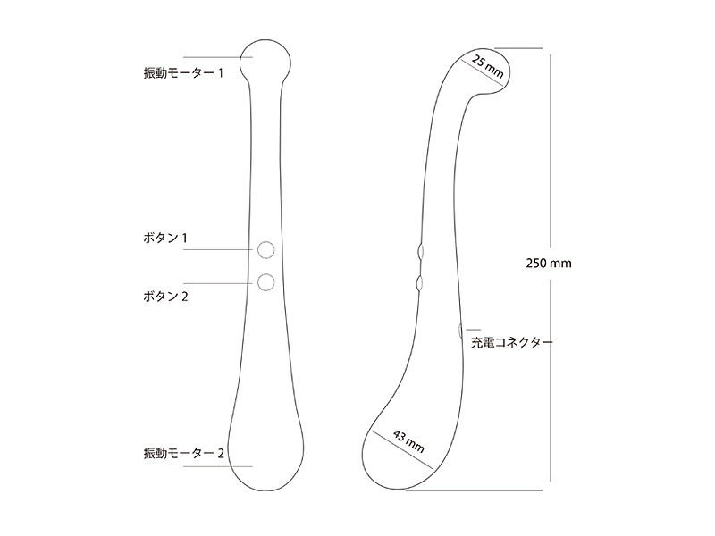 スワン トランペッター/SWAN Trumpeter 画像2