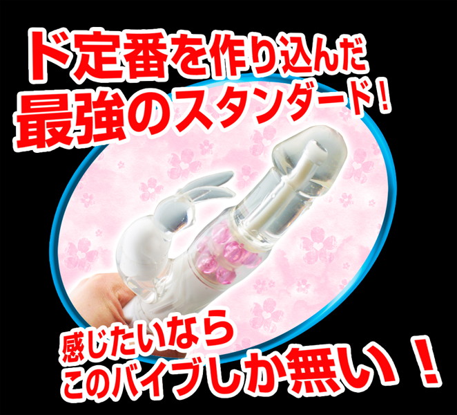 PREMIUMSTANDARD兎の舞 画像2