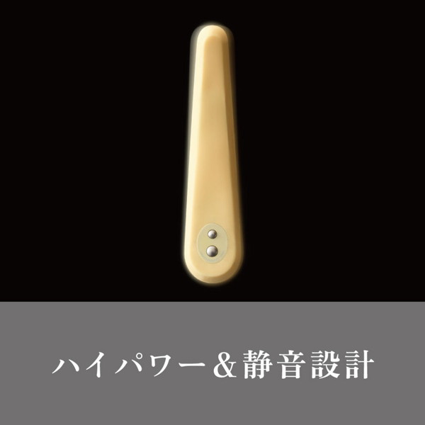 iroha プレジャー・アイテム フィット 【MIKAZUKI】 画像6