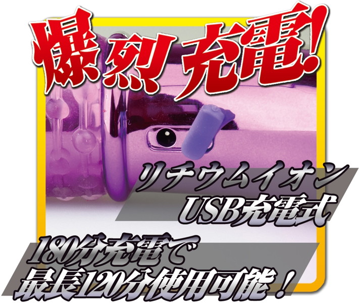 鳳爆 画像4