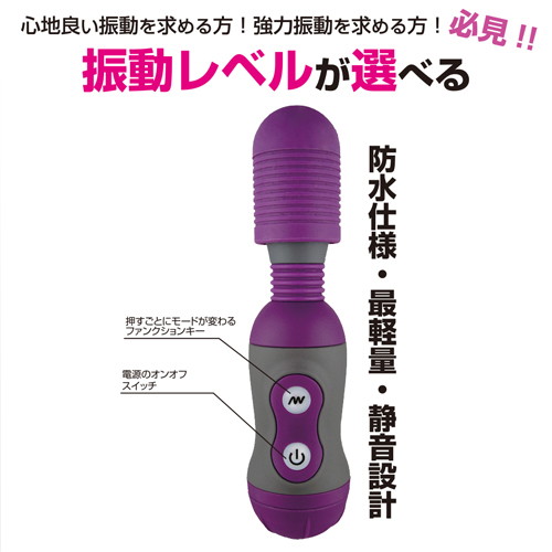 デンマックス パープル 画像2