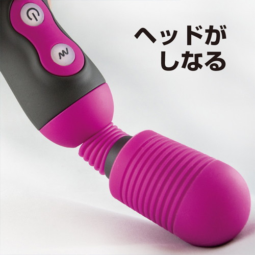 デンマックス パープル 画像5