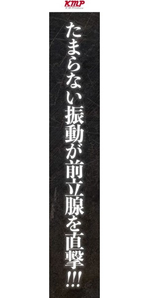 潜入捜査官バイブ アナルタイプ［7パターン振動搭載］