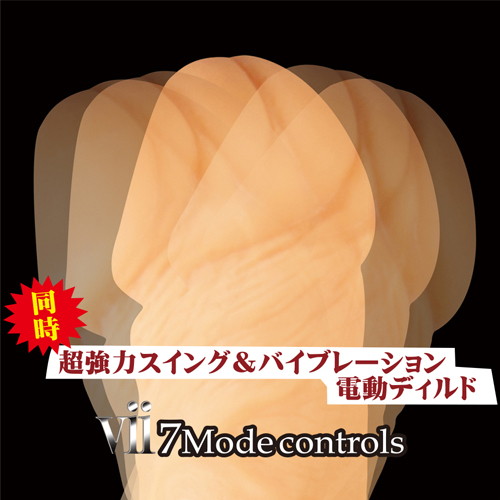 電動マキシマム 画像2