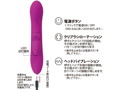 プリティラブ ロータリーブラシバイブレーター 画像3