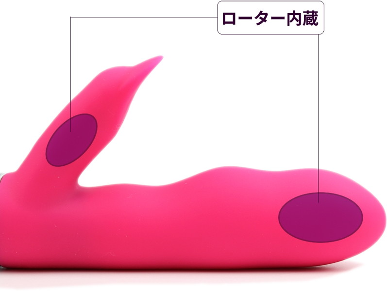 エクスティック プレミアム I 画像9